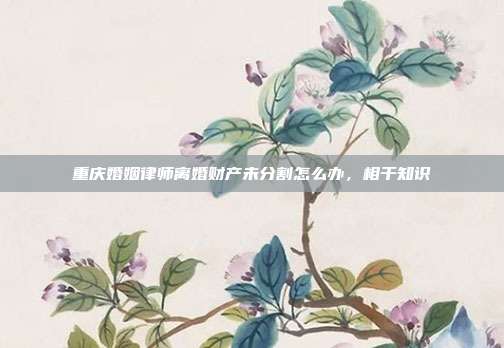 重庆婚姻律师离婚财产未分割怎么办,相干知识