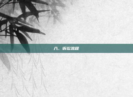 八、诉讼流程