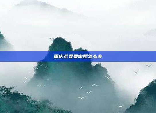 重庆老婆要离婚怎么办