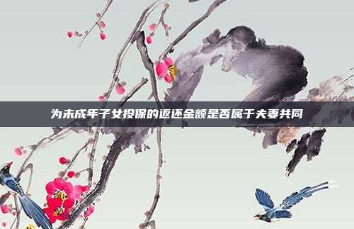 为未成年子女投保的返还金额是否属于夫妻共同