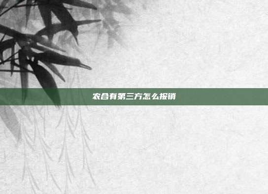 农合有第三方怎么报销