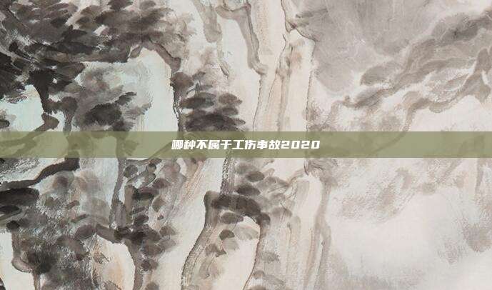 哪种不属于工伤事故2020