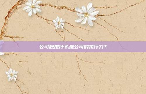 公司规定什么是公司的执行力？