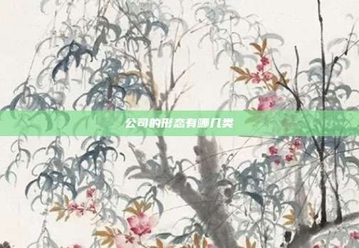 公司的形态有哪几类