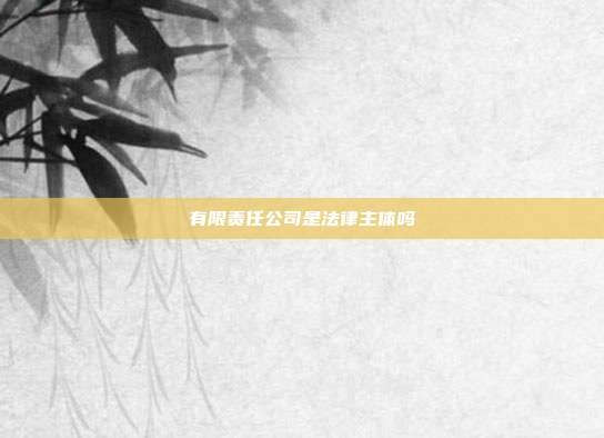 有限责任公司是法律主体吗