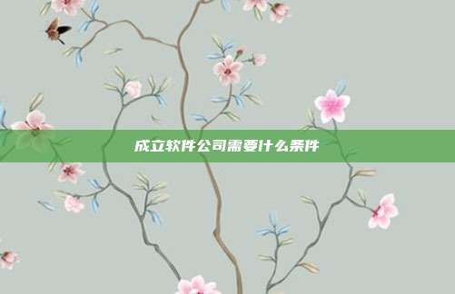 成立软件公司需要什么条件