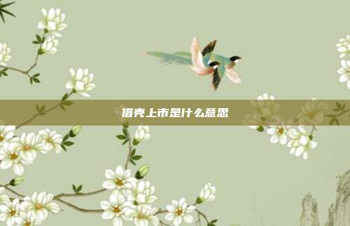 借壳上市是什么意思