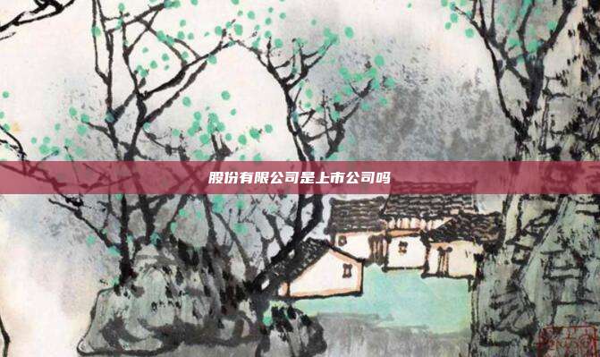 股份有限公司是上市公司吗