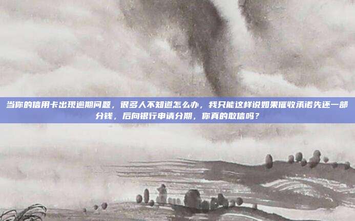当你的信用卡出现逾期问题，很多人不知道怎么办，我只能这样说如果催收承诺先还一部分钱，后向银行申请分期，你真的敢信吗？