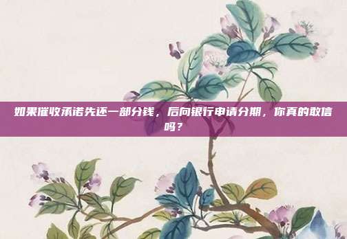如果催收承诺先还一部分钱，后向银行申请分期，你真的敢信吗？