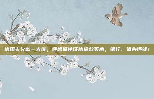 信用卡欠款一大堆，还想保住征信贷款买房，银行：请先还钱！