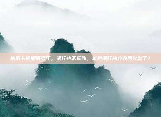 信用卡逾期很多年，银行也不催收，难道银行放弃收回欠款了？