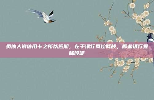 负债人说信用卡之所以逾期，在于银行风控降额，哪些银行爱降额呢