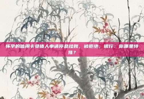 怀孕的信用卡负债人申请停息挂账，被拒绝，银行：你哪里特殊？