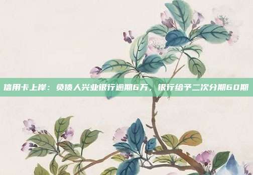 信用卡上岸：负债人兴业银行逾期6万，银行给予二次分期60期
