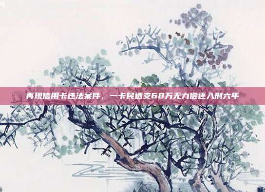 再现信用卡违法案件，一卡民透支68万无力偿还入刑六年