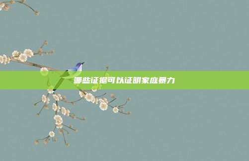 哪些证据可以证明家庭暴力
