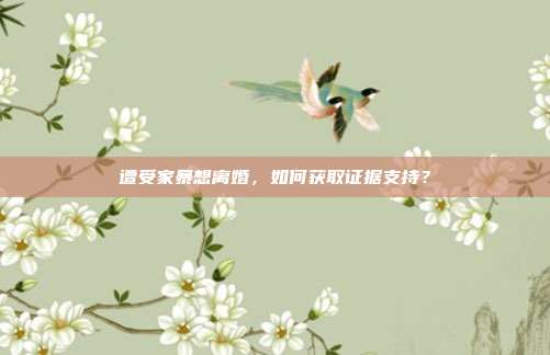 遭受家暴想离婚，如何获取证据支持？