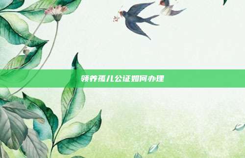 领养孤儿公证如何办理