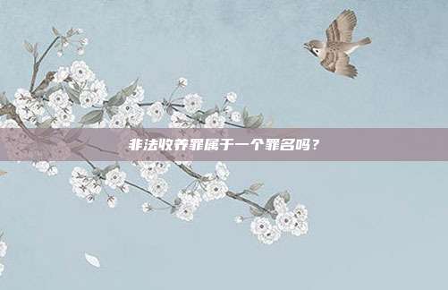 非法收养罪属于一个罪名吗？