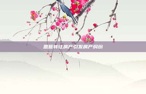 恶意转让房产引发房产纠纷