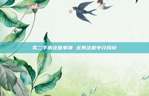 买二手房注意事项 尤其注意中介纠纷