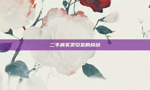 二手房买卖引发的纠纷