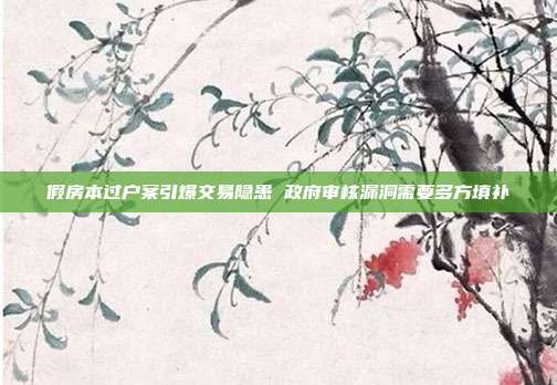 假房本过户案引爆交易隐患 政府审核漏洞需要多方填补