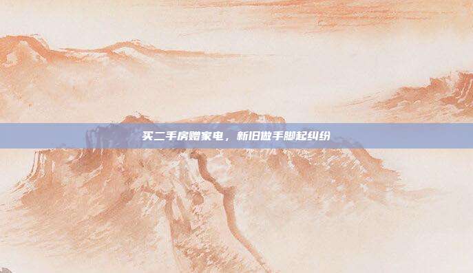 买二手房赠家电，新旧做手脚起纠纷