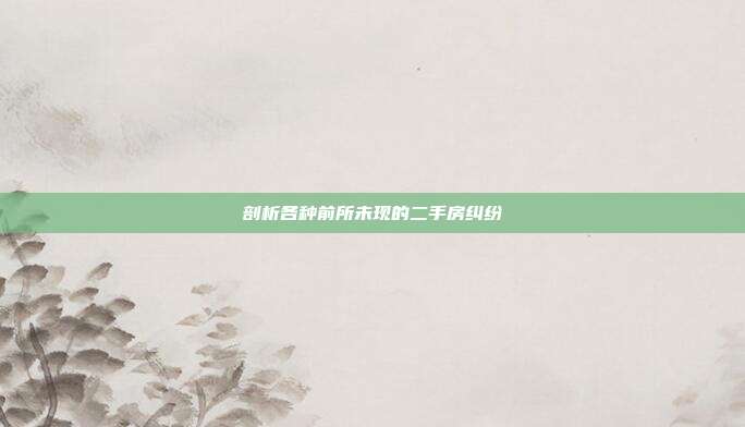 剖析各种前所未现的二手房纠纷