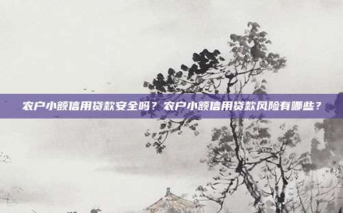 农户小额信用贷款安全吗？农户小额信用贷款风险有哪些？
