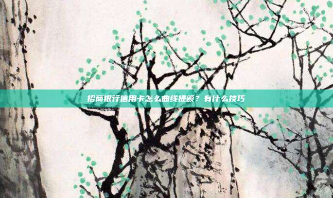 招商银行信用卡怎么曲线提额?有什么技巧