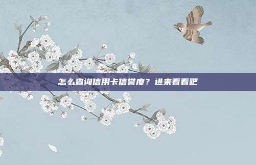 怎么查询信用卡信誉度？进来看看吧