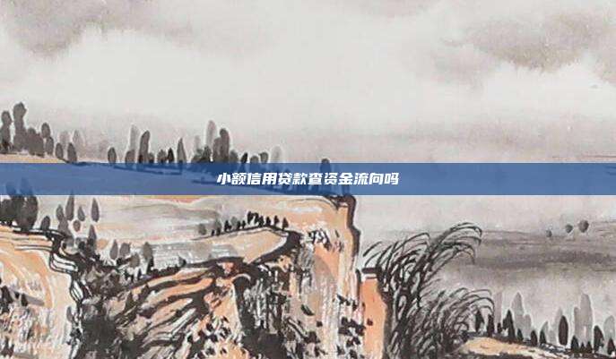 小额信用贷款查资金流向吗