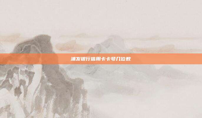 浦发银行信用卡卡号几位数