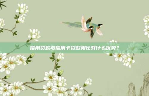 信用贷款与信用卡贷款相比有什么优势？