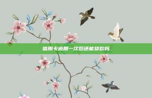 信用卡逾期一次后还能贷款吗