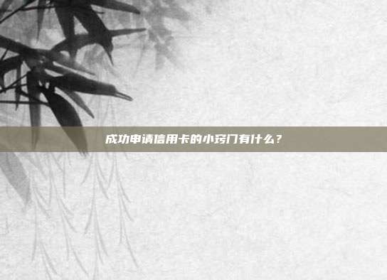 成功申请信用卡的小窍门有什么？