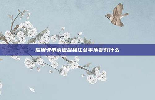 信用卡申请流程和注意事项都有什么
