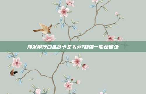 浦发银行白金梦卡怎么样?额度一般是多少
