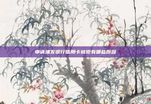 申请浦发银行信用卡被拒有哪些原因