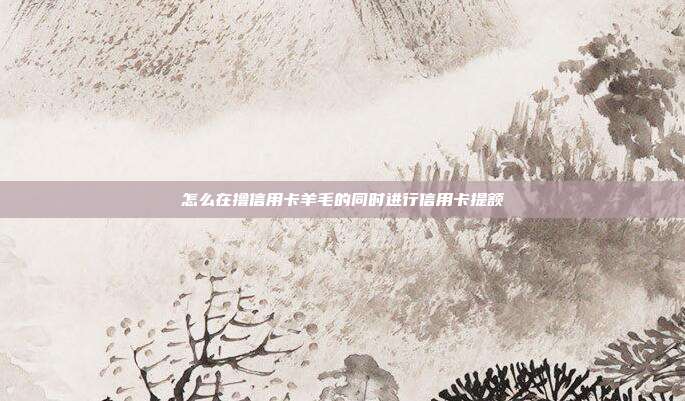 怎么在撸信用卡羊毛的同时进行信用卡提额