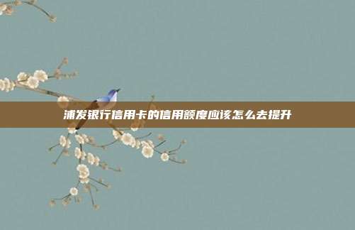 浦发银行信用卡的信用额度应该怎么去提升