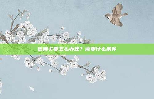 信用卡要怎么办理?需要什么条件