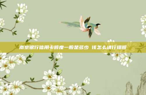南京银行信用卡额度一般是多少 该怎么进行提额