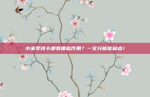 小米零钱卡都有哪些作用？一文分析优缺点！