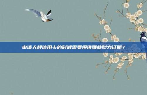 申请大额信用卡的时候需要提供哪些财力证明？