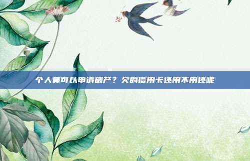 个人竟可以申请破产?欠的信用卡还用不用还呢