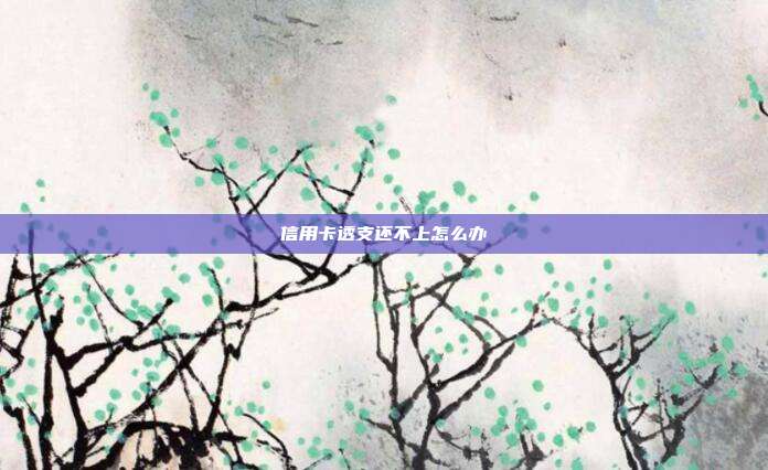 信用卡透支还不上怎么办