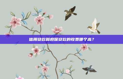 信用贷款和担保贷款的收费哪个高？